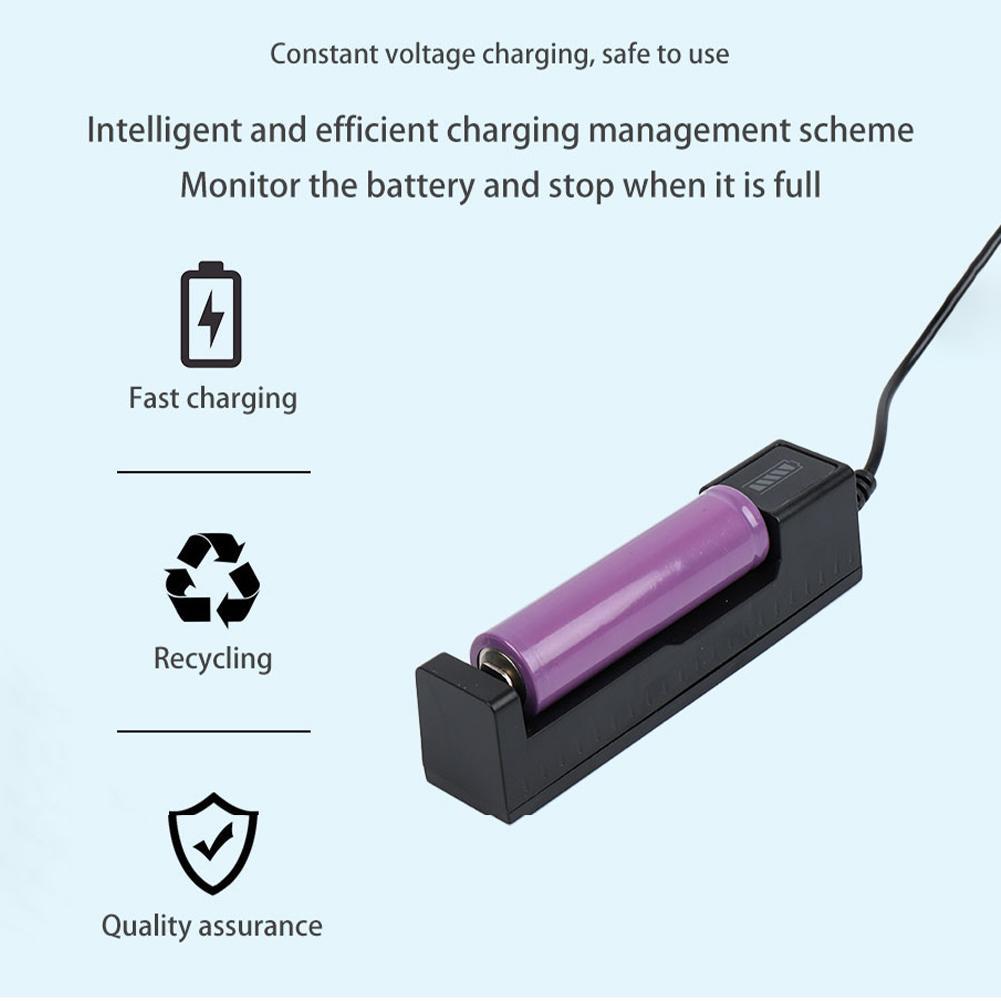 Universele 18650 Batterijlader - Balance Charger Rc recensie en prijs